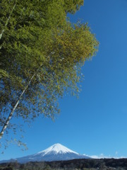 里山の眺め