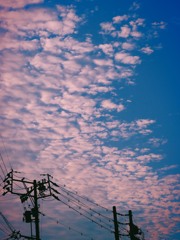 梅雨明け前