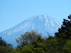 夏の始まり