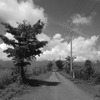 一本道