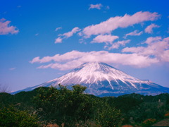 雲も、いい塩梅