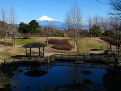 日本平運動公園より２