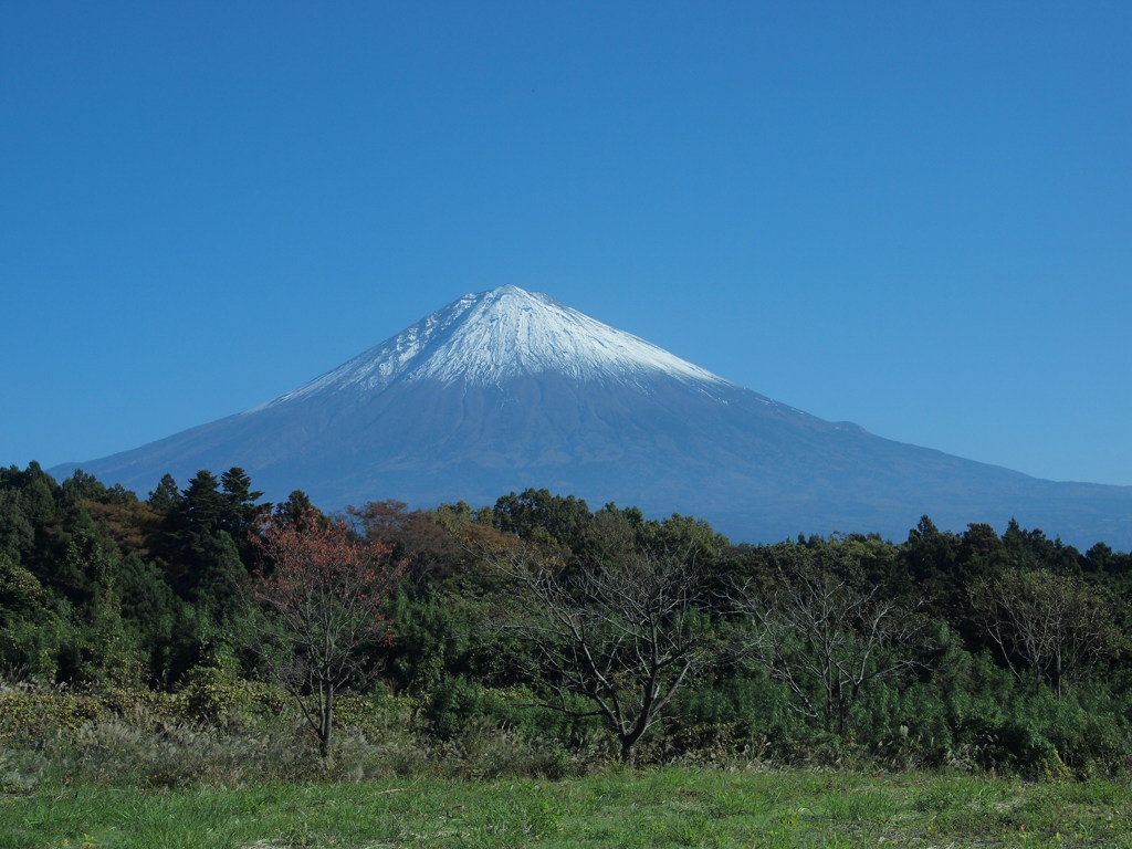 快晴