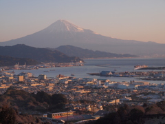 朝陽を浴びて