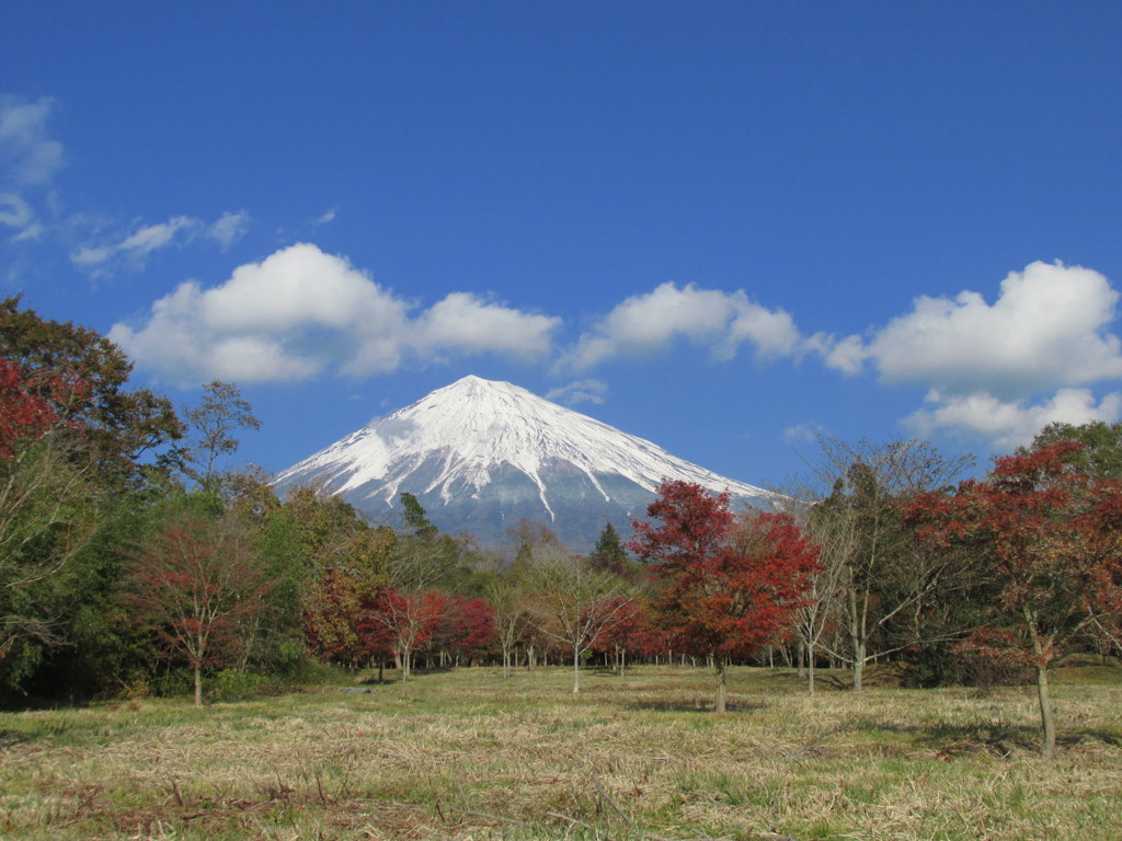 １１月富士宮