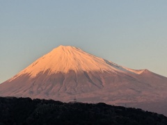 この一年に感謝