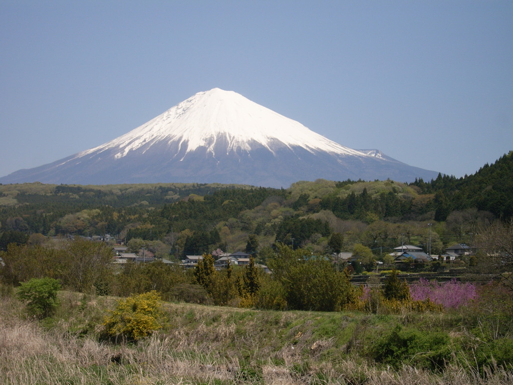 里山の春