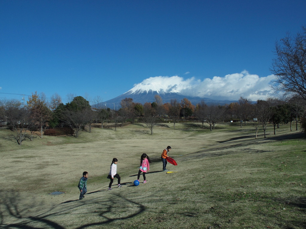 冬の公園