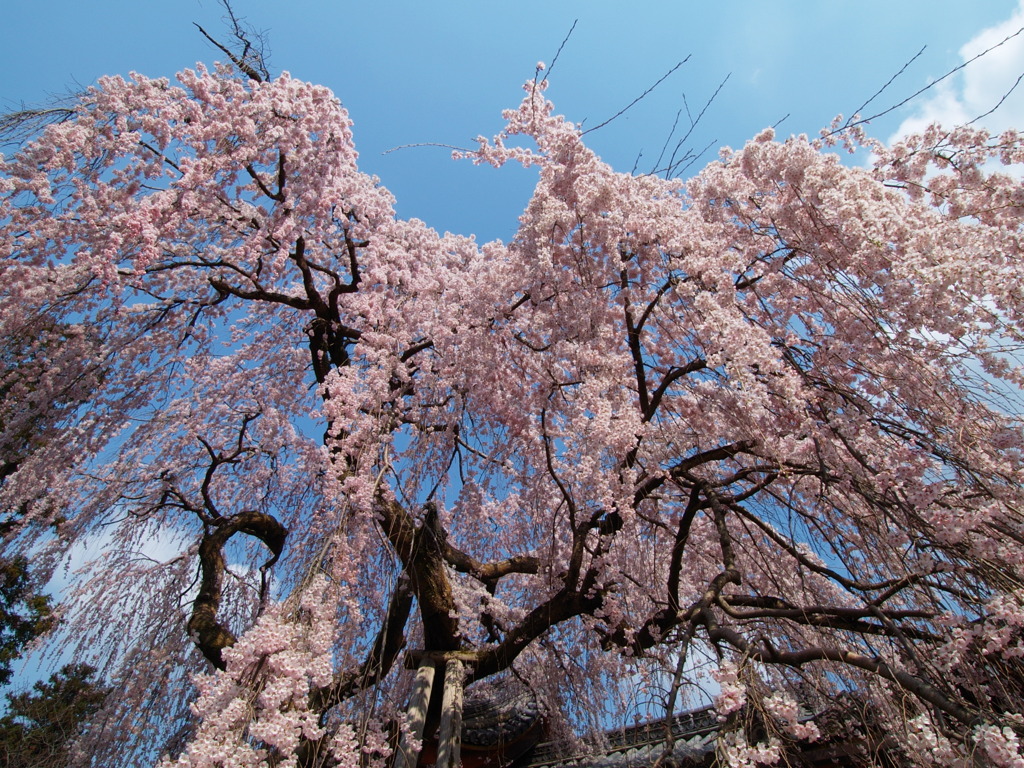 氷室神社