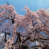 氷室神社