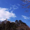 大仏殿