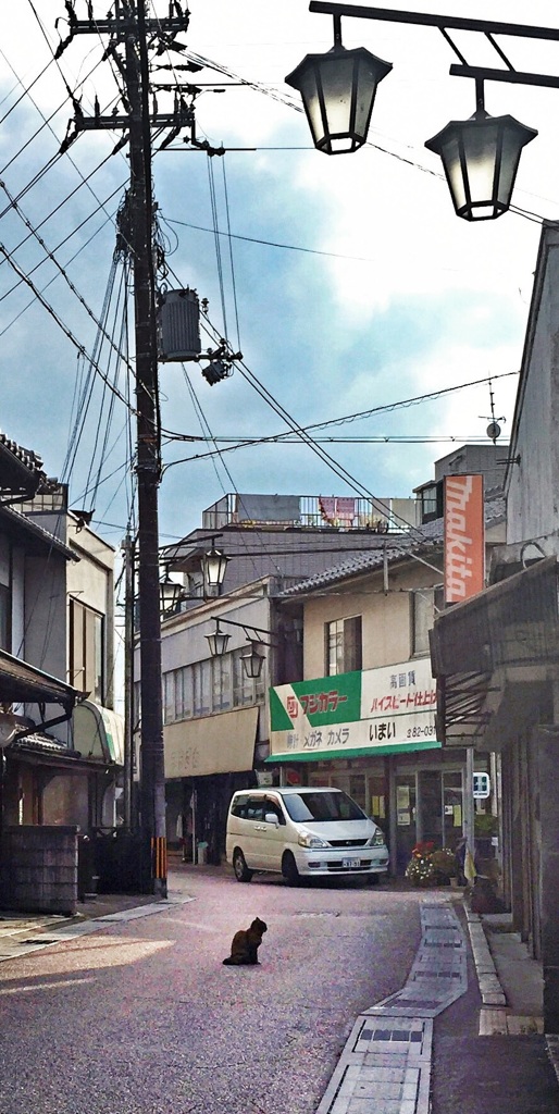 ネコ （敬称略）