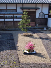 東大寺中性院