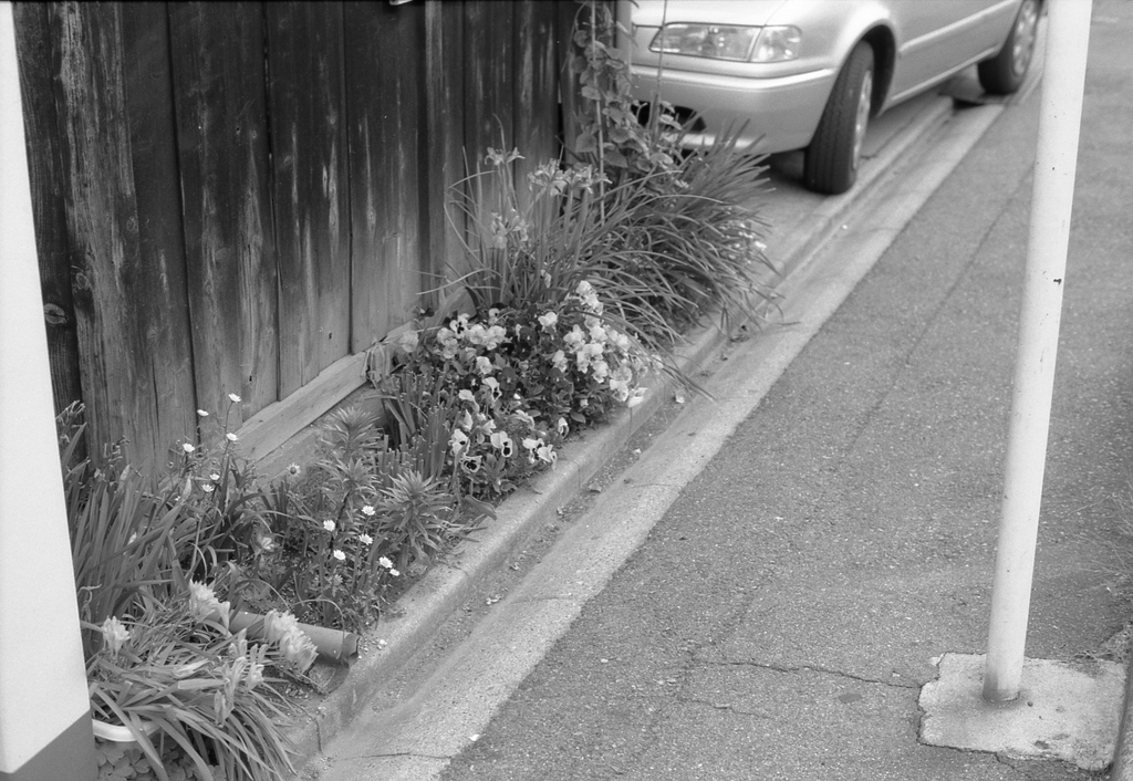 OM-1 + ZUIKO 50mm F1.8 　/　T-MAX100