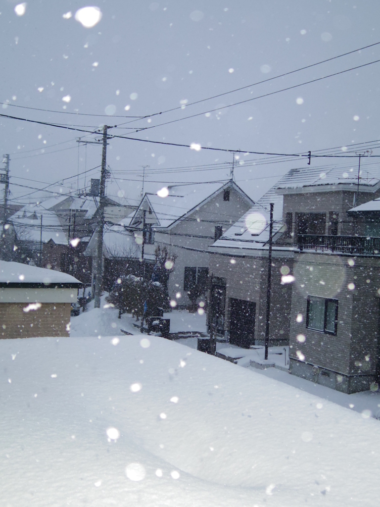 雪の朝1