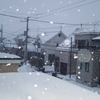 雪の朝1