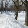 北海道大学内