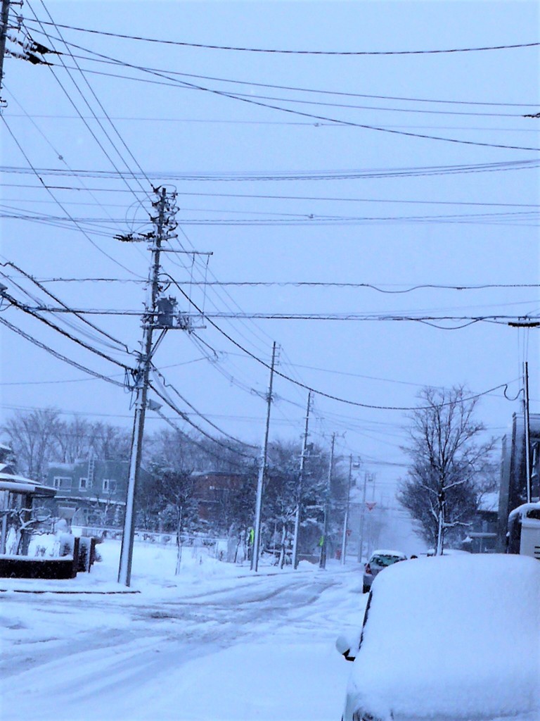 三月の雪