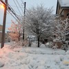 朝の雪