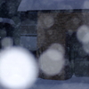 雪の日