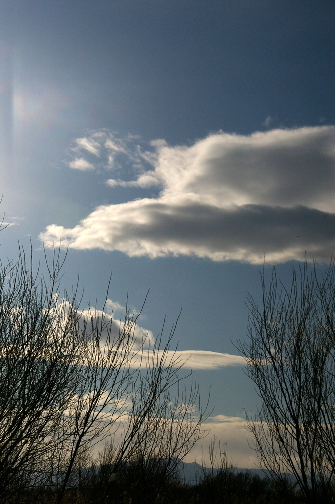 冬の空