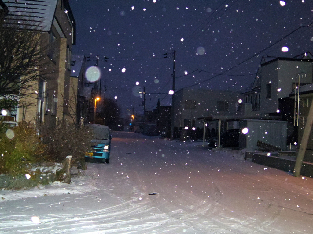 雪の朝