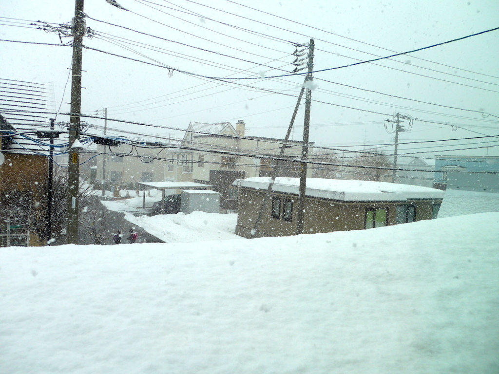 突然の雪