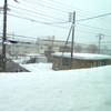 突然の雪