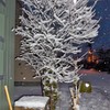雪の花