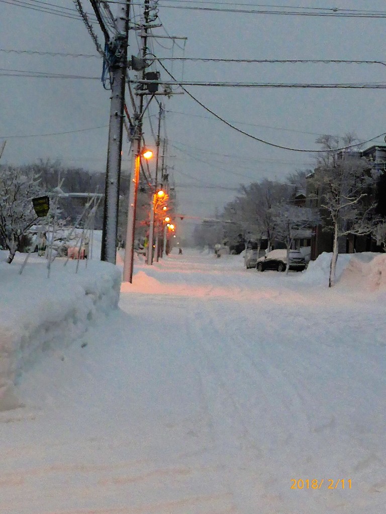 朝の雪