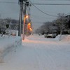 朝の雪