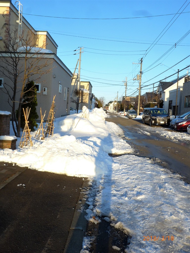 晴れの朝