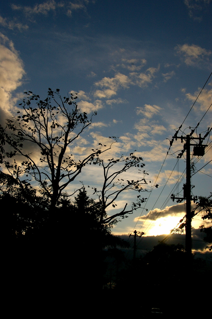 朝の空