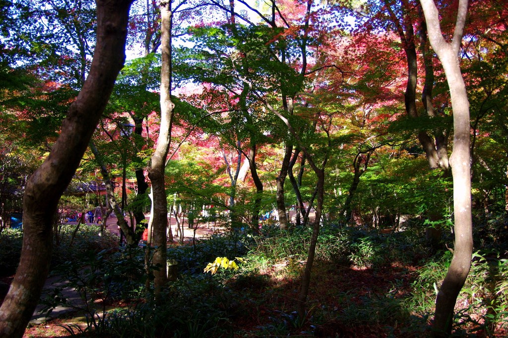 色んな色で・・・