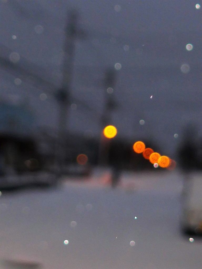 雪の朝