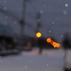 雪の朝