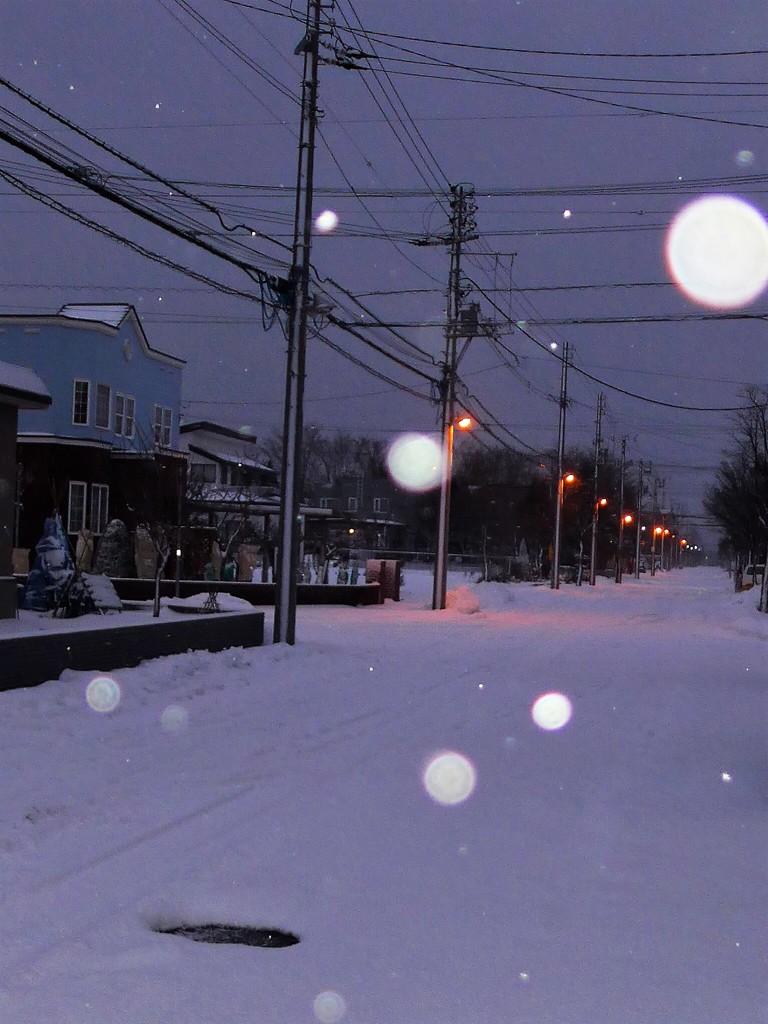 雪の朝