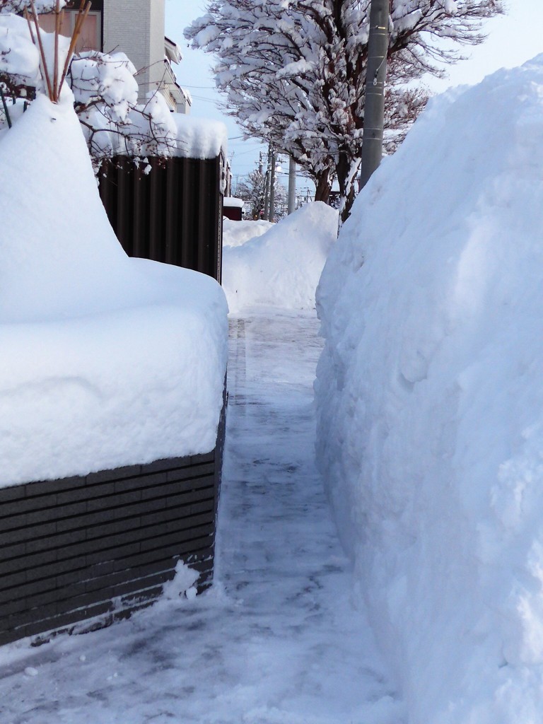 大雪 