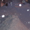 よく降る雪