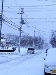 三月の雪