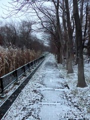 小雪の散歩道