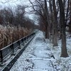 小雪の散歩道