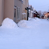 朝の雪