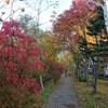 散歩道