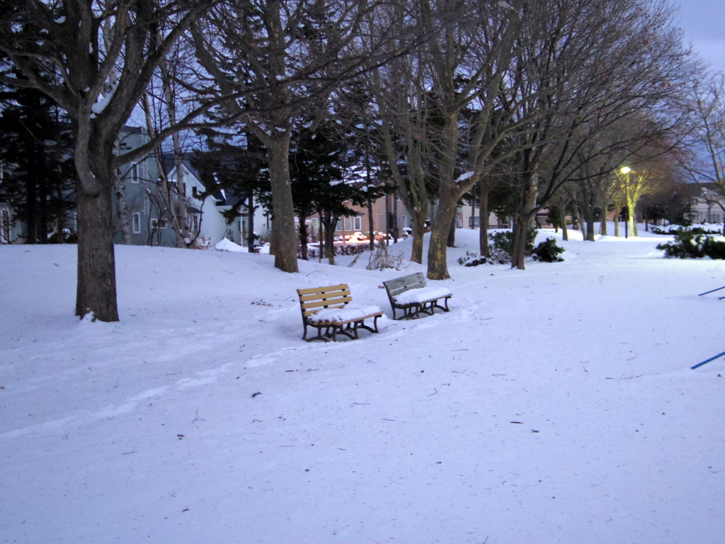 雪の西公園