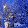 雪の花