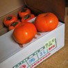 九度山富有柿