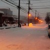 雪の朝