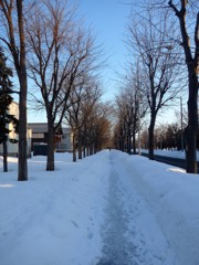 何時もの散歩道