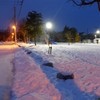 朝の公園3